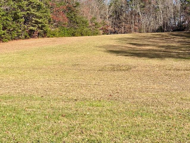 Howardsville Tpke, Stuarts Draft, VA 24477 - photo 13