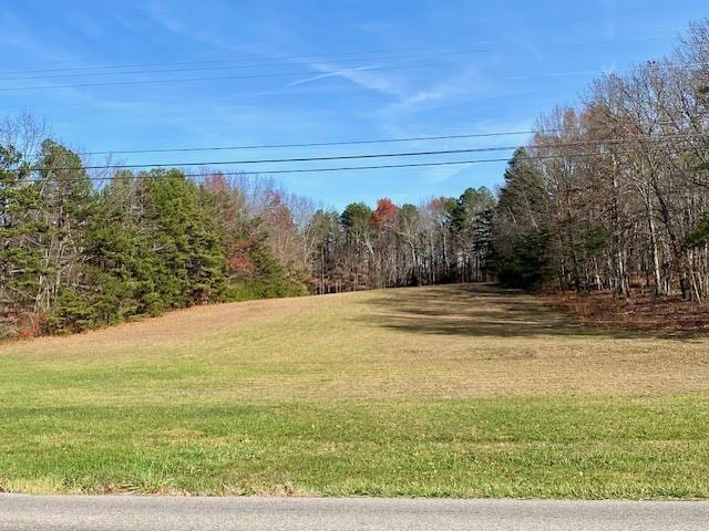 Howardsville Tpke, Stuarts Draft, VA 24477 - photo 10