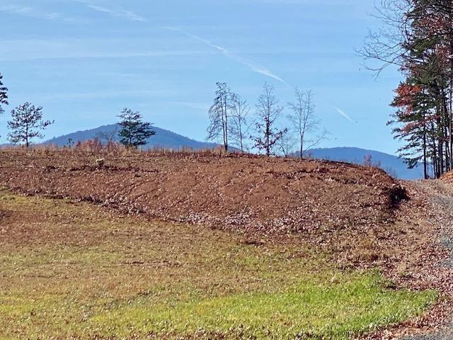 Howardsville Tpke, Stuarts Draft, VA 24477 - photo 5