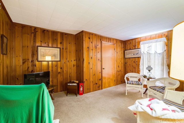 100 Junior Ave, Shenandoah, VA 22849 - photo 24