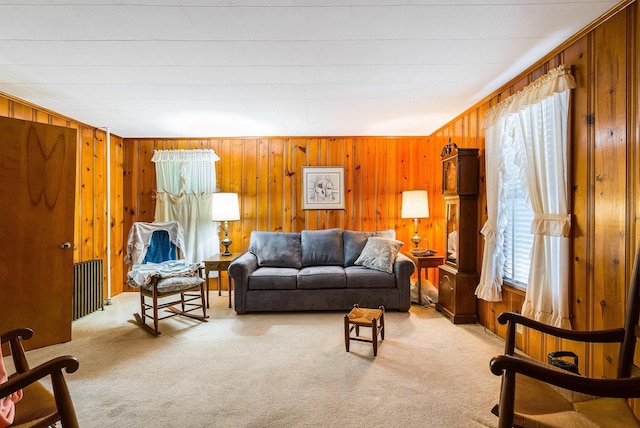 100 Junior Ave, Shenandoah, VA 22849 - photo 14