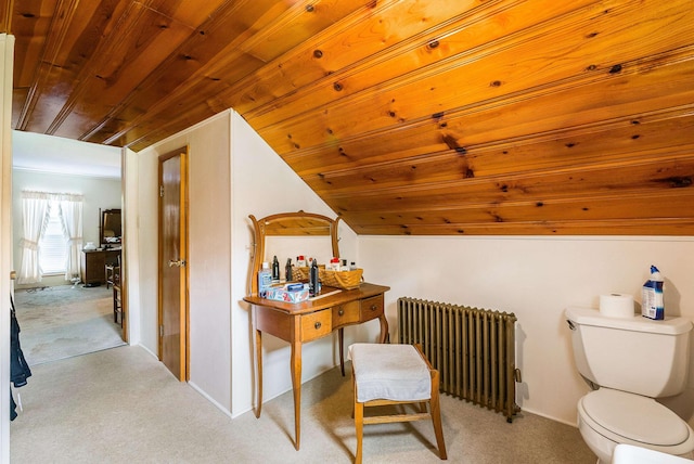 100 Junior Ave, Shenandoah, VA 22849 - photo 32