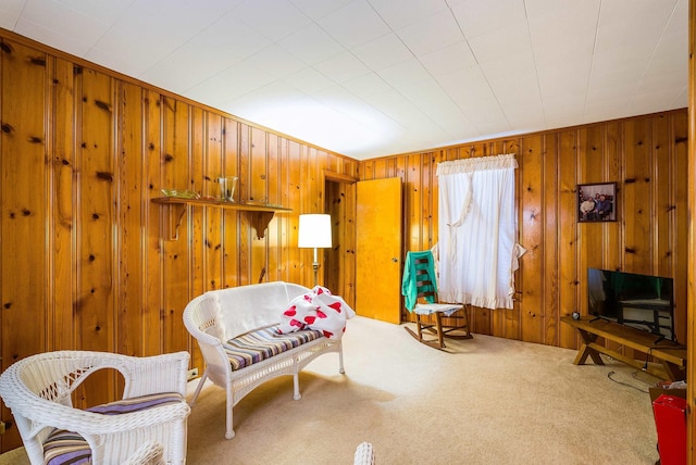 100 Junior Ave, Shenandoah, VA 22849 - photo 25