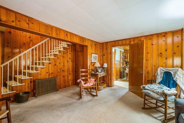 100 Junior Ave, Shenandoah, VA 22849 - photo 16