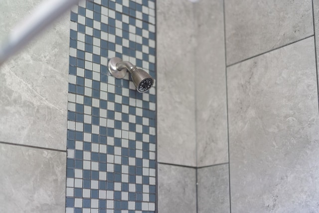 402 Marshall St, Staunton, VA 24401 - bathroom view of tiled shower