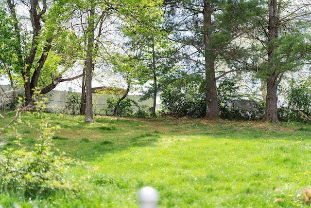 402 Marshall St, Staunton, VA 24401 - view of yard with fence
