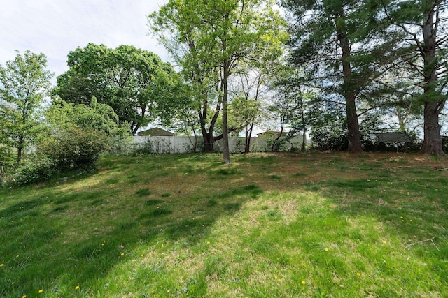 402 Marshall St, Staunton, VA 24401 - view of yard