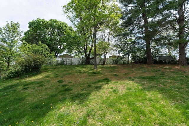 402 Marshall St, Staunton, VA 24401 - view of yard with fence