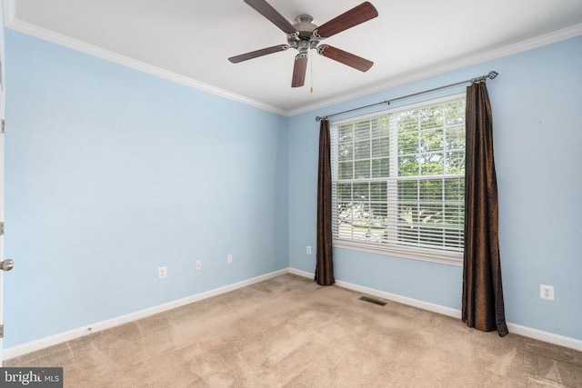 2011 Chesterfield Rd, Locust Grove, VA 22508 - photo 7