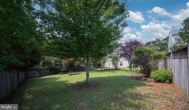 2011 Chesterfield Rd, Locust Grove, VA 22508 - photo 41