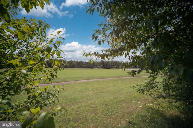 2011 Chesterfield Rd, Locust Grove, VA 22508 - photo 42