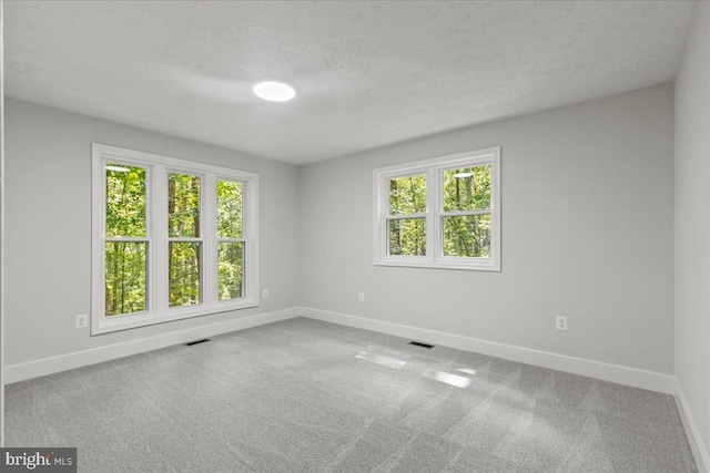 3050 Patriot Ln, Fredericksburg, VA 22408 - carpeted empty room with plenty of natural light and a textured ceiling