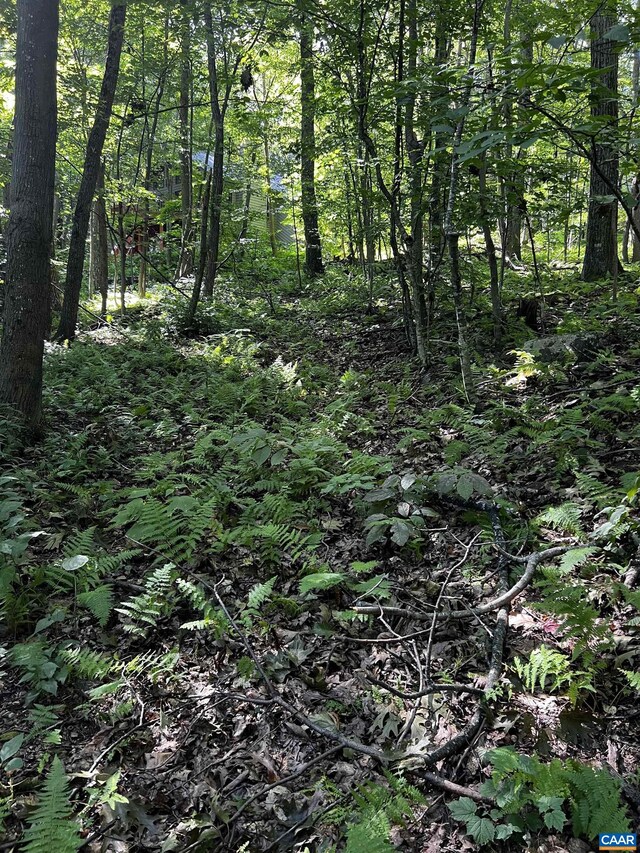 TBD Shamokin Springs Trl, Wintergreen Resort, VA 22967