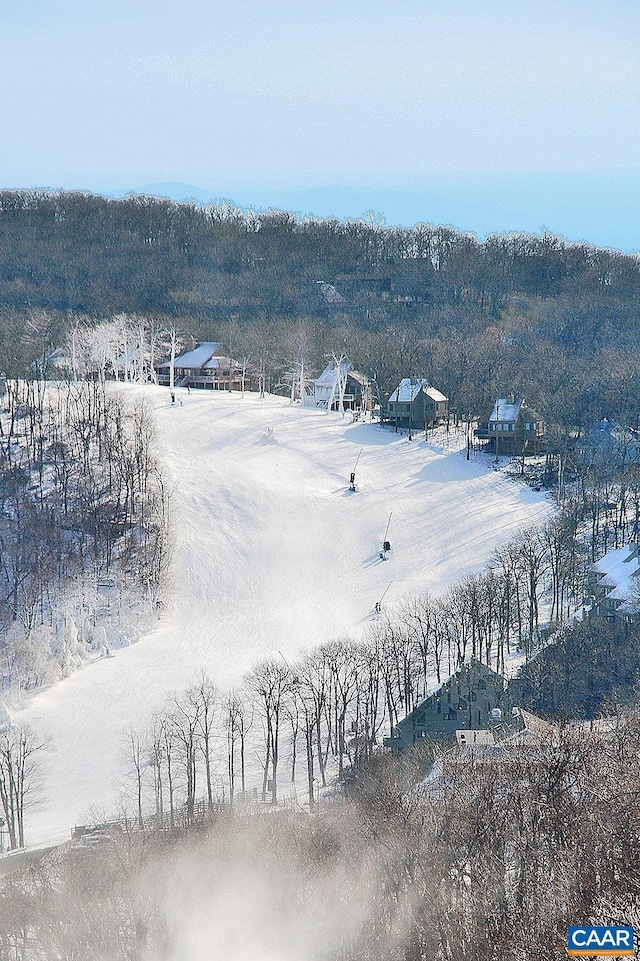 TBD Shamokin Springs Trl, Wintergreen Resort, VA 22967