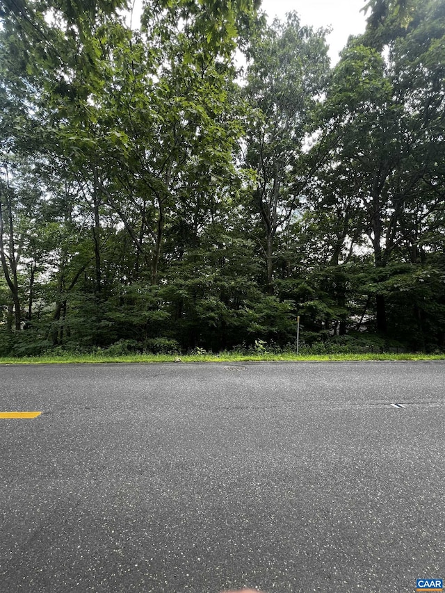 TBD Shamokin Springs Trl, Wintergreen Resort, VA 22967