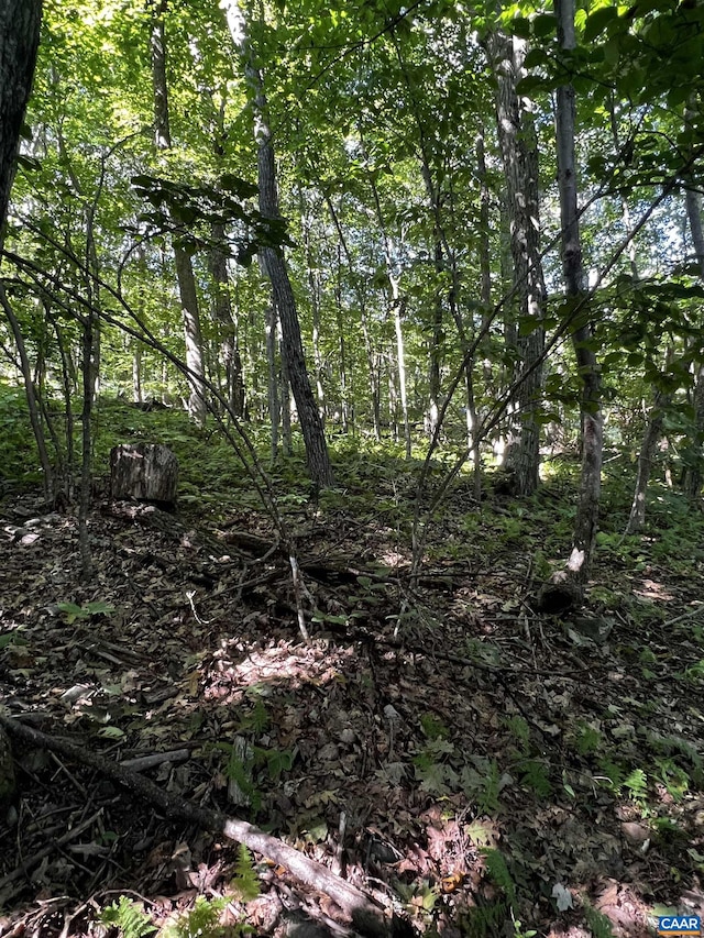 TBD Shamokin Springs Trl, Wintergreen Resort, VA 22967
