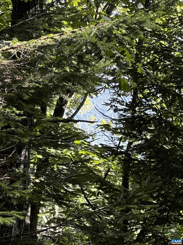 TBD Shamokin Springs Trl, Wintergreen Resort, VA 22967