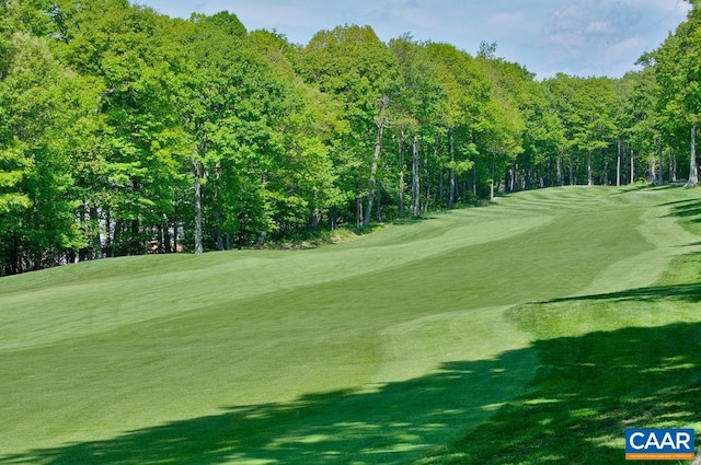 TBD Shamokin Springs Trl, Wintergreen Resort, VA 22967