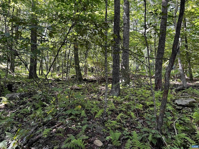 TBD Shamokin Springs Trl, Wintergreen Resort, VA 22967