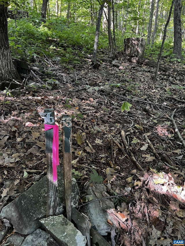 TBD Shamokin Springs Trl, Wintergreen Resort, VA 22967