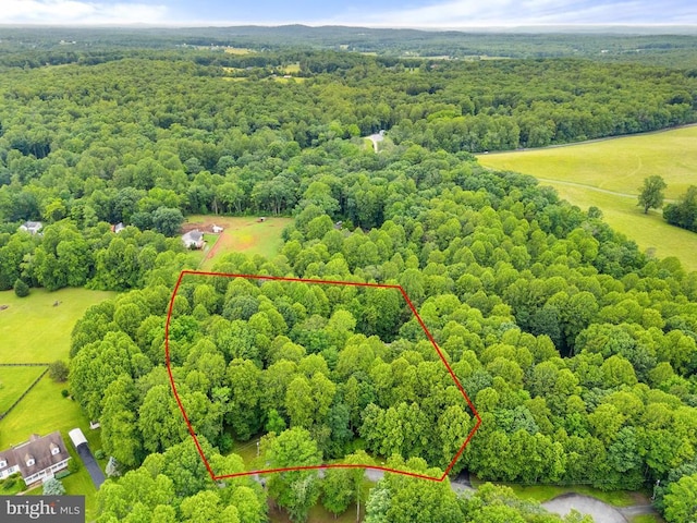 11332 Brinker Ct, Culpeper, VA 22701 - view of property location with a forest and property boundaries highlighted