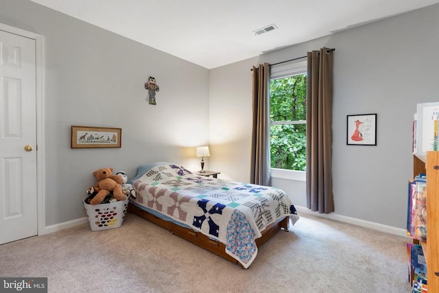 11332 Brinker Ct, Culpeper, VA 22701 - carpeted bedroom with baseboards