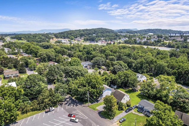 1526 Hillside Ave, Harrisonburg, VA 22801 - photo 51