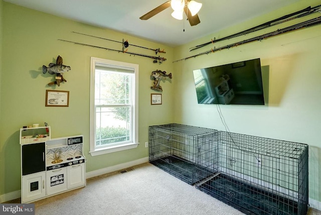 404 Hidden Farm Dr, Mineral, VA 23117 - photo 29