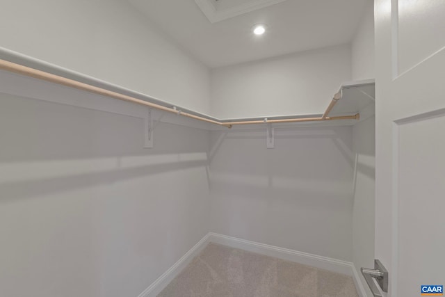 walk in closet featuring carpet