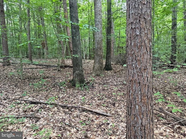 Glade Rd, Shipman, VA 22971 - photo 8