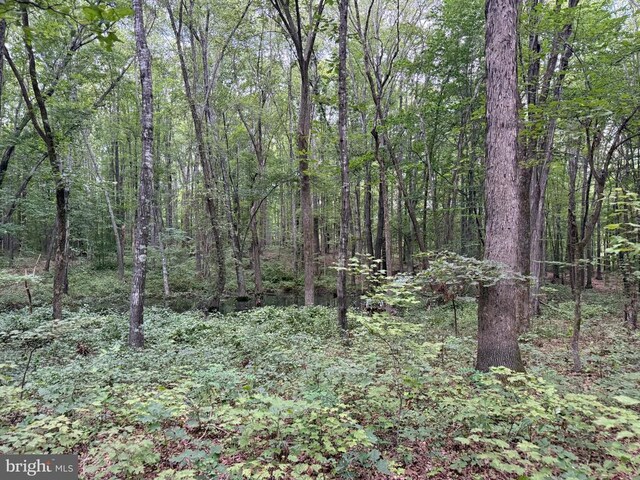Glade Rd, Shipman, VA 22971 - photo 15