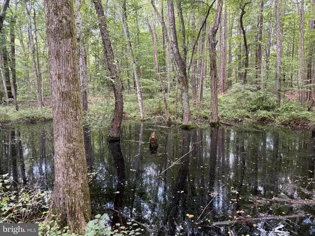 Glade Rd, Shipman, VA 22971 - photo 19