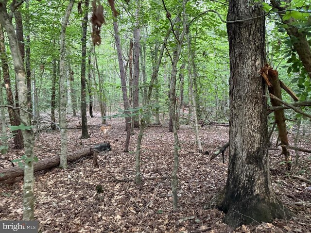 Glade Rd, Shipman, VA 22971 - photo 4