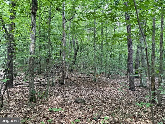 Glade Rd, Shipman, VA 22971 - photo 10