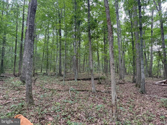Glade Rd, Shipman, VA 22971 - photo 16