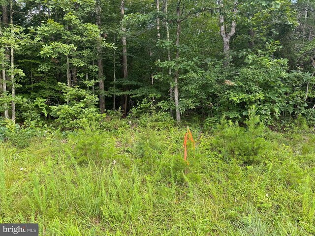 Glade Rd, Shipman, VA 22971 - photo 22