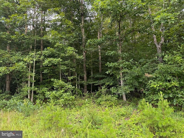 Glade Rd, Shipman, VA 22971 - photo 2