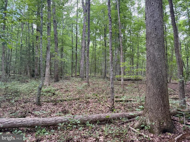 Glade Rd, Shipman, VA 22971 - photo 14