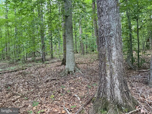 Glade Rd, Shipman, VA 22971 - photo 12