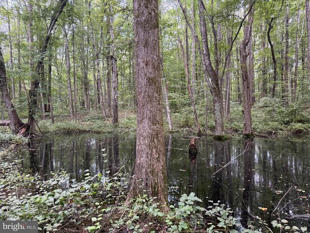 Glade Rd, Shipman, VA 22971 - photo 17