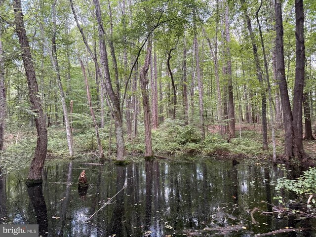 Glade Rd, Shipman, VA 22971 - photo 23