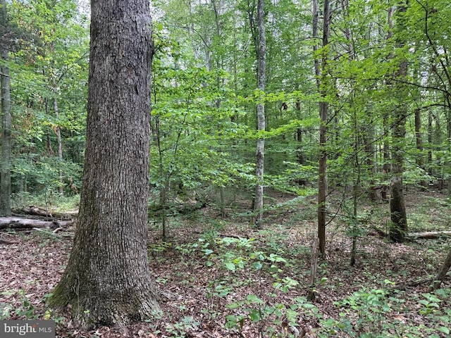 Glade Rd, Shipman, VA 22971 - photo 11