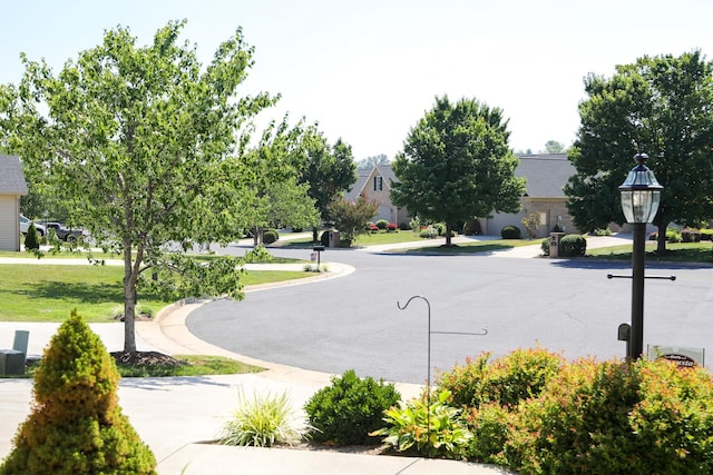 325 Laurel Wood Run, Waynesboro, VA 22980 - photo 24