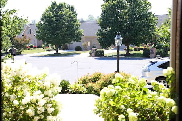 325 Laurel Wood Run, Waynesboro, VA 22980 - photo 5