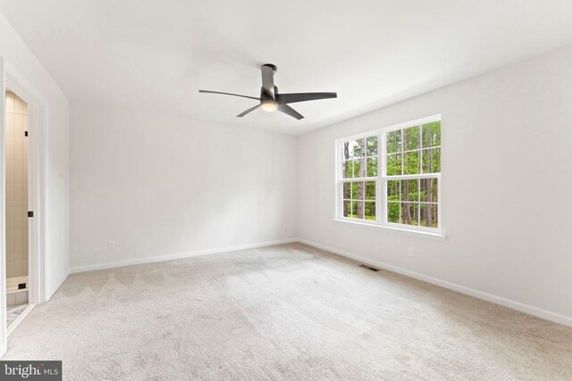 928 Days Bridge Rd, Mineral, VA 23117 - photo 20