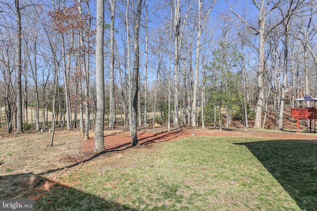 105 Chesterfield Ct, Locust Grove, VA 22508 - view of grassy yard