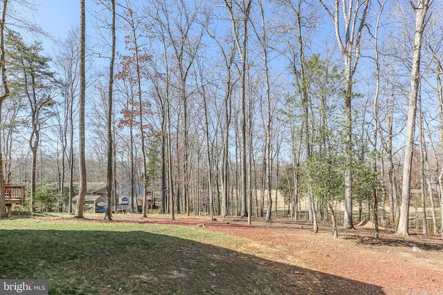 105 Chesterfield Ct, Locust Grove, VA 22508 - view of yard