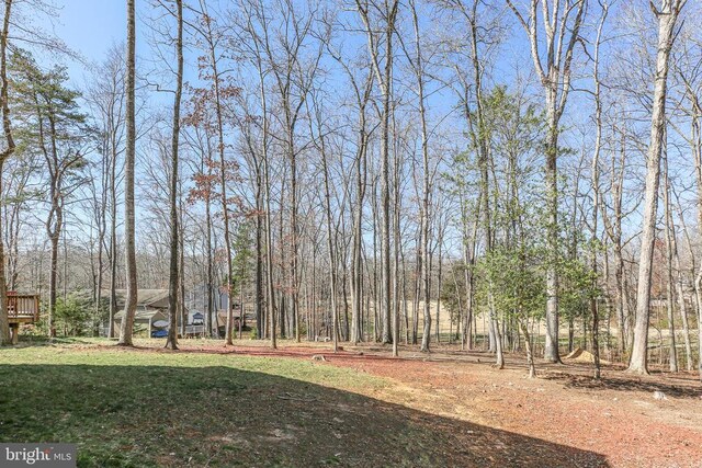 105 Chesterfield Ct, Locust Grove, VA 22508 - view of yard