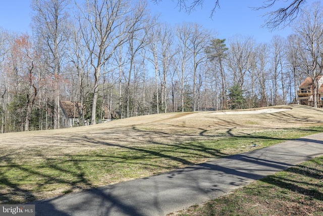 105 Chesterfield Ct, Locust Grove, VA 22508 - view of street