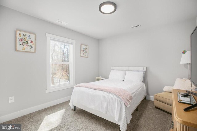 105 Chesterfield Ct, Locust Grove, VA 22508 - bedroom with carpet floors and baseboards